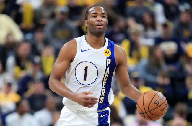 他们不仅担 他们不仅担