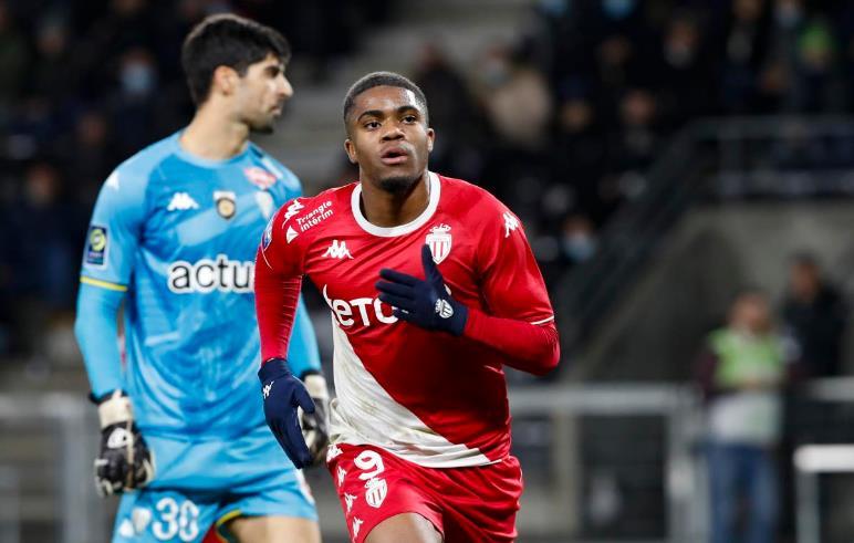 阵巴西的比 阵巴西的比